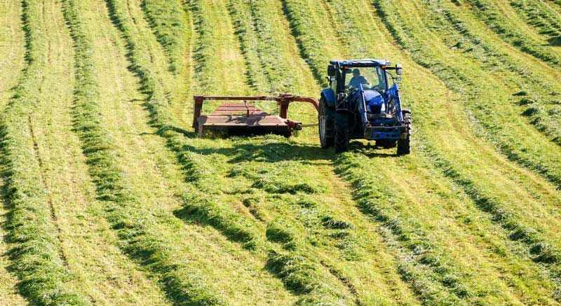 Agriculture Exhibitions